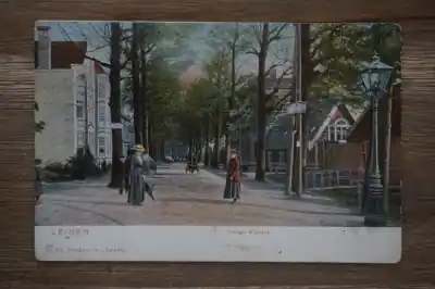 Leiden Hooge Rijndijk Oryginalny