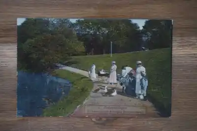 Scheveningen Scheveningsche boschjes eendjes voeren Najlepsza cena
