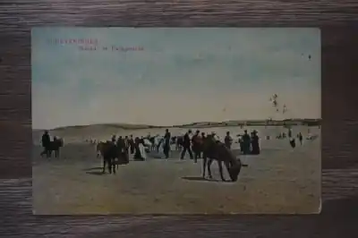 Premium Scheveningen Strand en Duingezicht