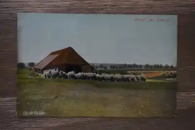 Ostatnia szansa Utrecht Op de Heide