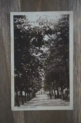 Tylko dziś Heelsum Kastanjelaan