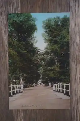 Oranjewoud Lindelaan Tylko dziś