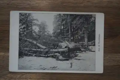 Wysoka jakość Den Haag Aan den Boschlaan