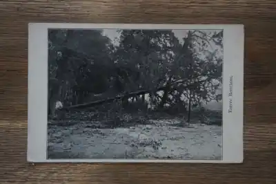 Den Haag Entree Boorlaan Tani