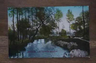 Geulem De verliefde boomen Niska cena