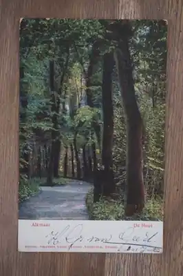 Ostatnia szansa Alkmaar De Hout