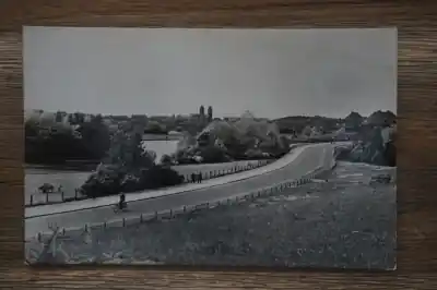 Tani Den Haag Westbroekpark