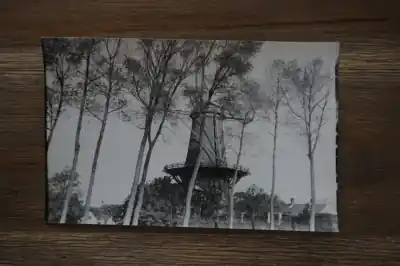 Ansichtkaart met Molen Oryginalny