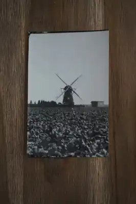 Ansichtkaart met Molen Rabat