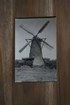 Tani Ansichtkaart met Molen