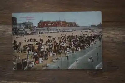 Popularny Scheveningen Strandleven
