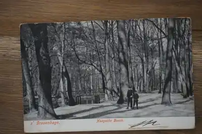 Den Haag Haagsche bosch Autentyczny