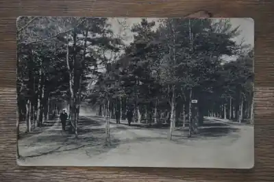 Apeldoorn De hoofdingang van Berg en Bosch Zamów teraz