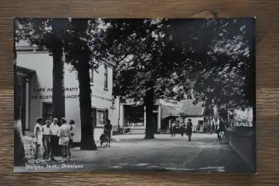 Niska cena Bergen Breelaan