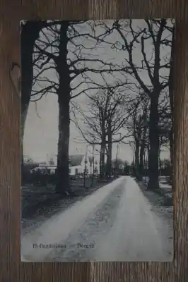 Bergen Hollandialaan Autentyczny