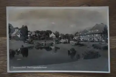 Ekspresowa dostawa Bloemendaal Nachtegaalplantsoen