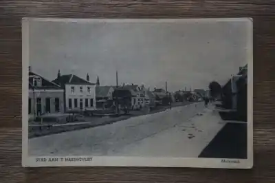 Tani 't Haringvliet Molendijk