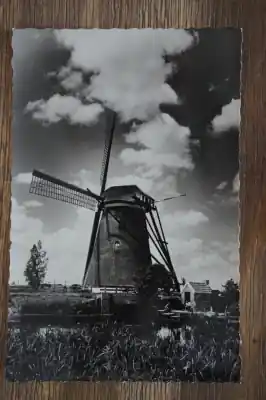 Kinderdijk Hollandse molen Ostatnia szansa