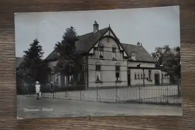 Hoornaar School Niska cena