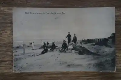 Popularny Noordwijk aan Zee Strandleven