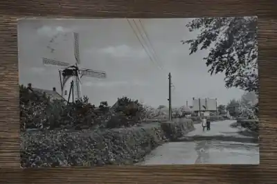 Ouddorp Bokweg Popularny