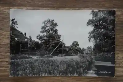 Oryginalny Dubbeldam Dubbelsteyn