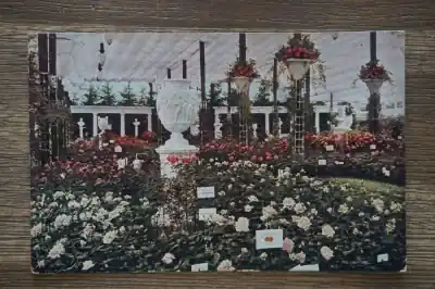 Bezpieczna płatność Boskoop Rozententoonstelling