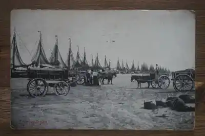 Scheveningen Zamów teraz