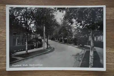 Rabat Maasland Weth. Dijkshoornlaan