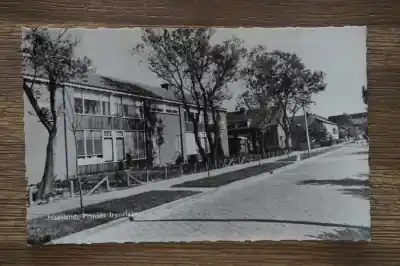 Oryginalny Maasland Prinses Irenelaan