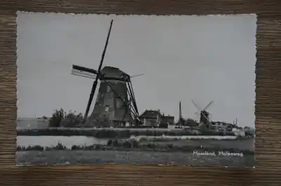 Maasland Molenweg Popularny