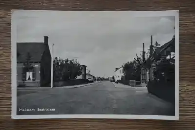 Melissant Beatrixlaan Szybka dostawa