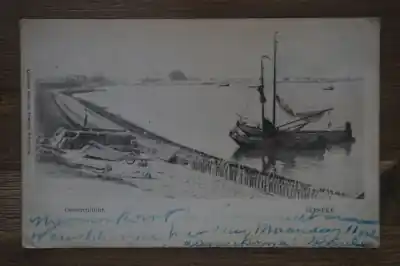 Yerseke Oester cultuur Oryginalny