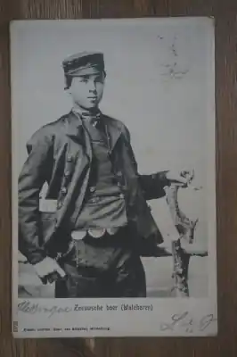 Oferta Walcheren Zeeuwsche Boer