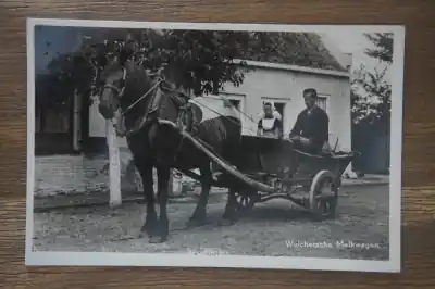 Walcheren Melkwagen Kup teraz