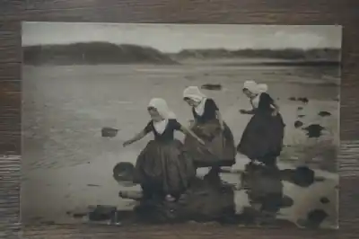 Wyprzedaż Zeeland Het keren van het tij