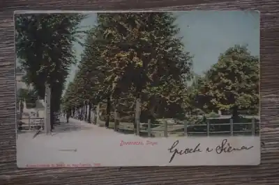 Zamów teraz Dordrecht Singel