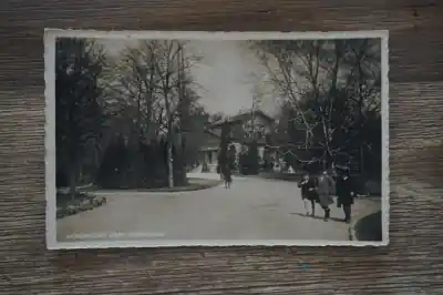 Dordrecht Park Merwestein Zamów teraz