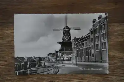 Tani Dordrecht Noordendijk